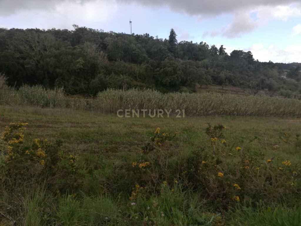  Terreno Agrícola na Zona Oeste - Image 6